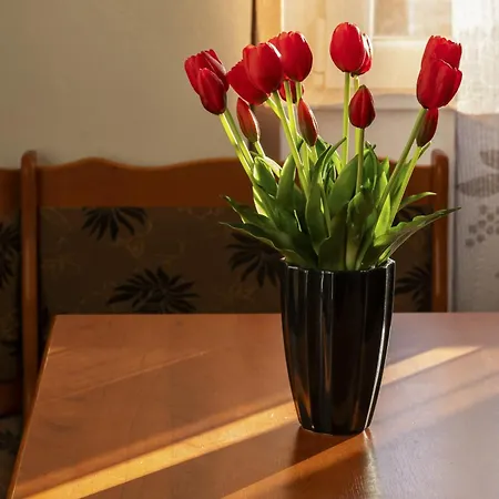 Cozy&comfortable Grodeckiego By Renters * Warszawa