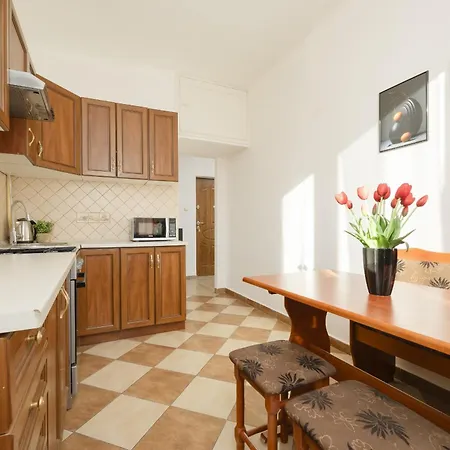 Cozy & Comfortable Grodeckiego By Renters Apartman